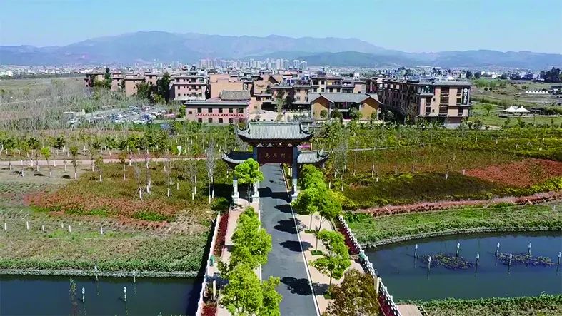 玉溪发布(微信)