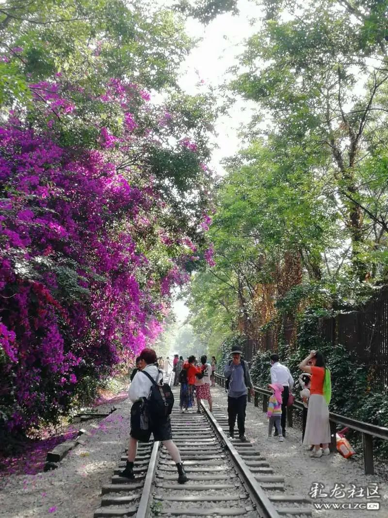 文明昆明(微信)