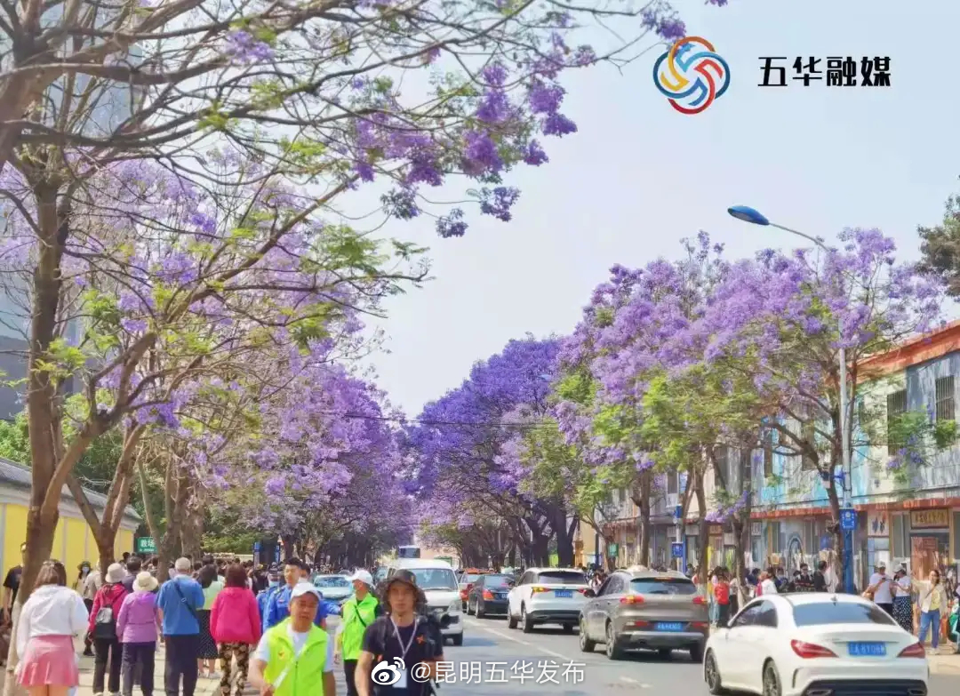 “昆明五华发布”微博