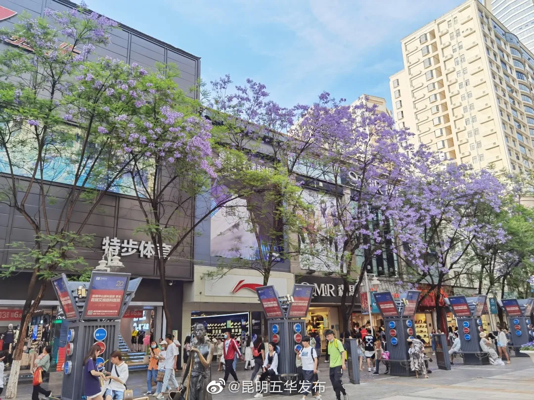 “昆明五华发布”微博
