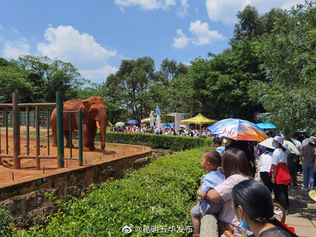 “昆明五华发布”微博