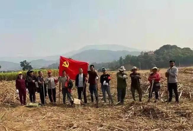 西双版纳先锋(微信)