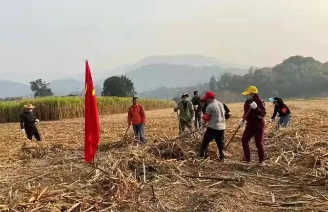 西双版纳先锋(微信)