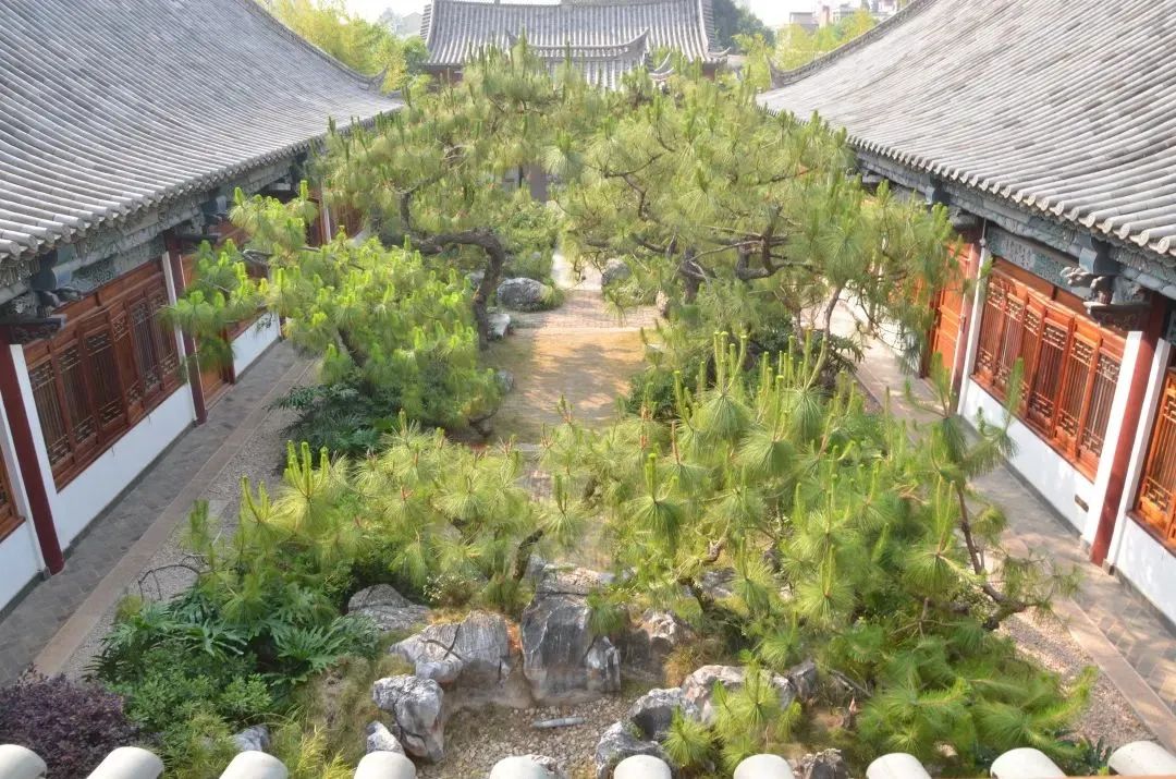 红河文旅(微信)