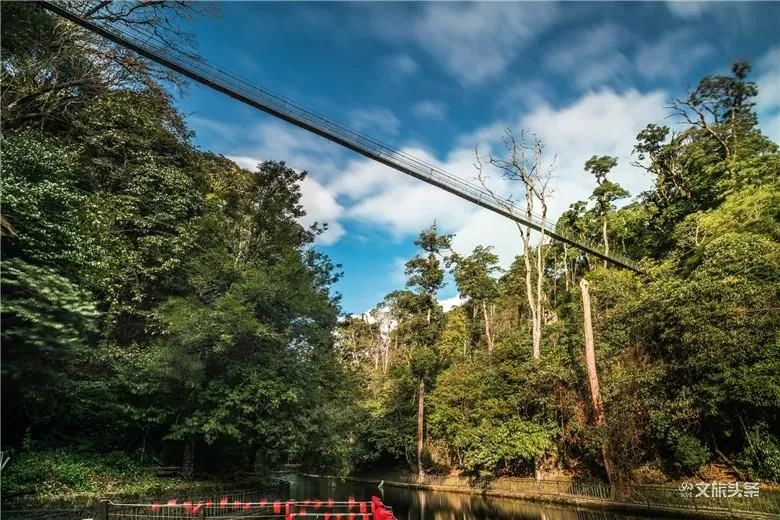 中欧体育什么是云南旅游新方向？(图2)