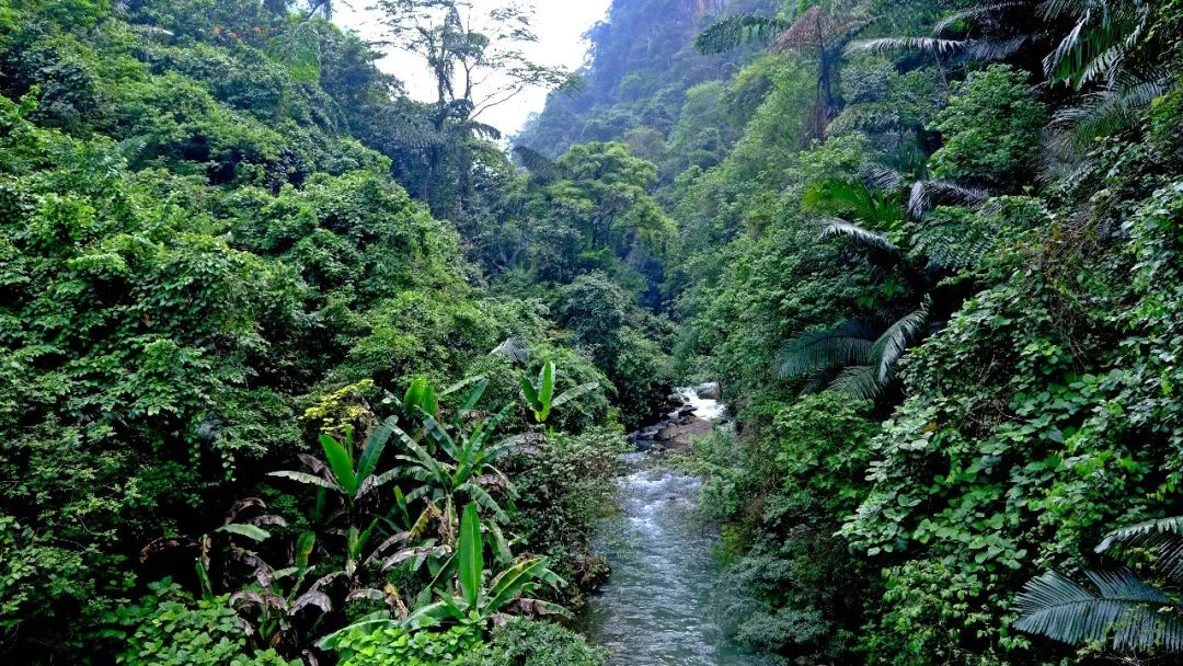 红河文旅(微信)