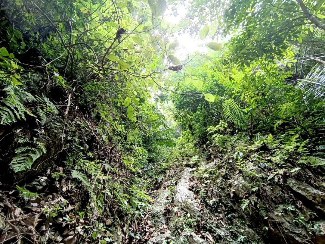 红河文旅(微信)