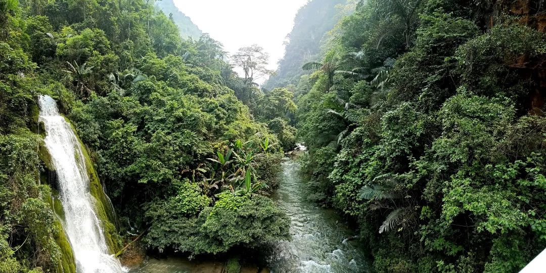 红河文旅(微信)