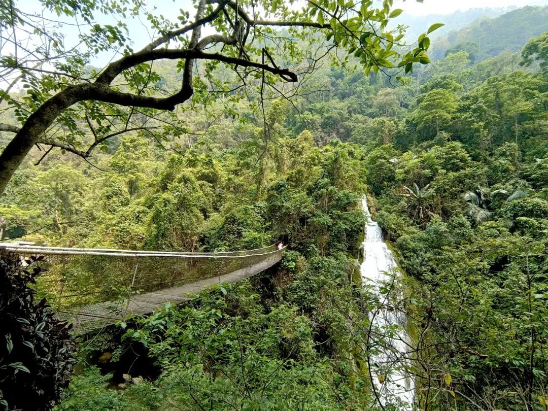 红河文旅(微信)