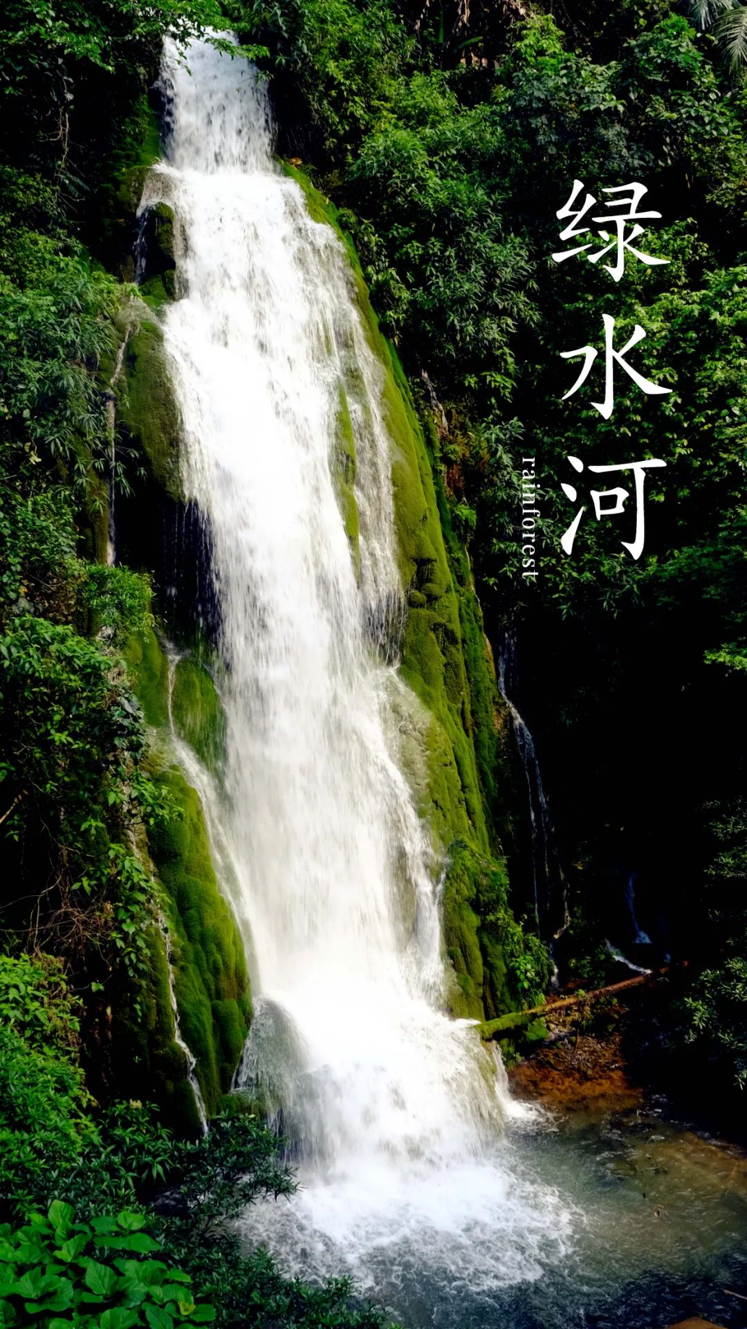 红河文旅(微信)