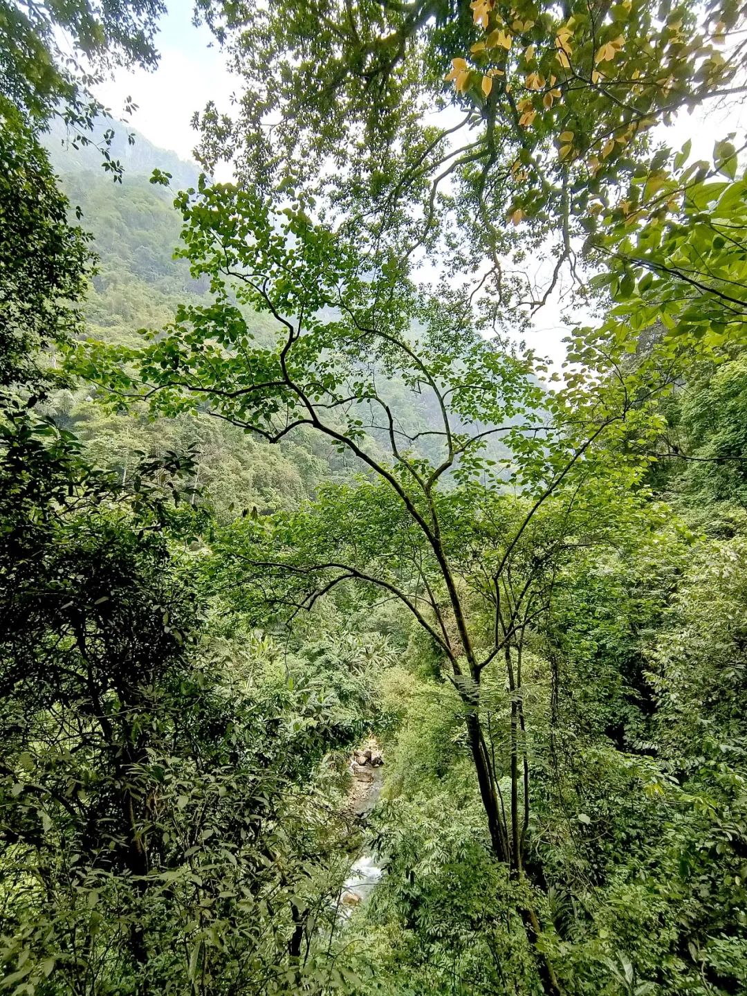 红河文旅(微信)