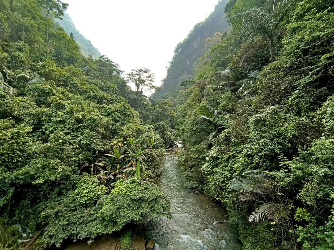 红河文旅(微信)