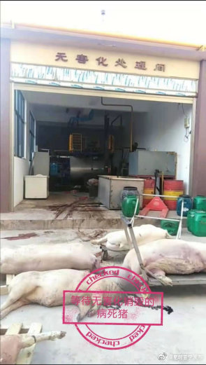 “昆明晋宁发布”微博
