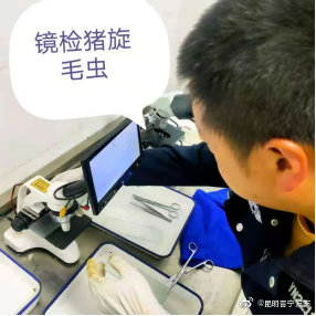 “昆明晋宁发布”微博