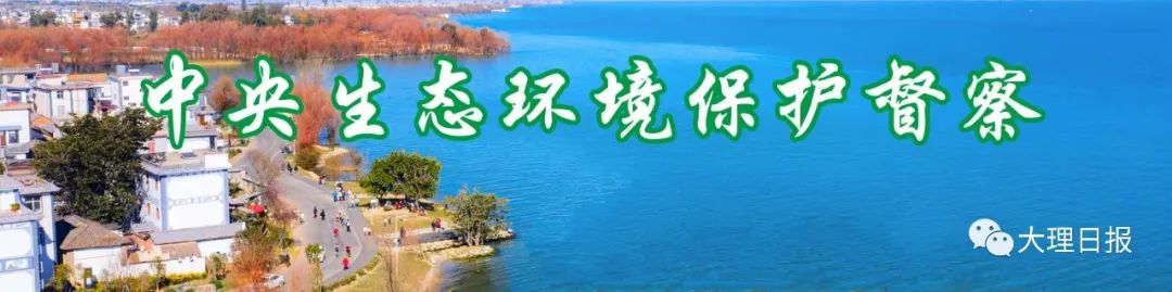 大理日报(微信)