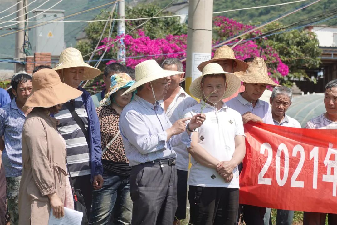 红河日报(微信)