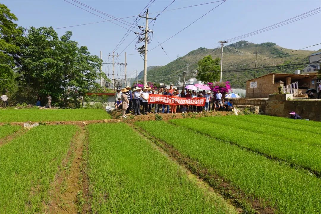红河日报(微信)