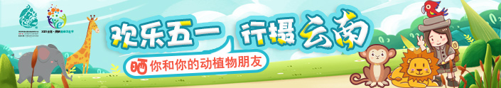 掌上春城(微信)
