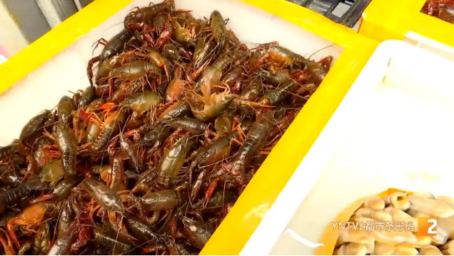昆明信息港(微信)