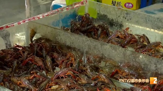 昆明信息港(微信)