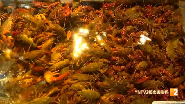 昆明信息港(微信)