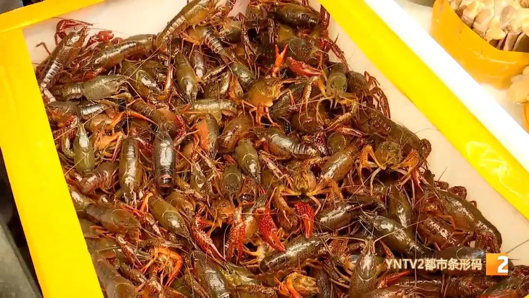 昆明信息港(微信)