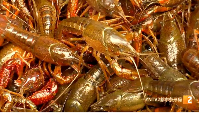 昆明信息港(微信)