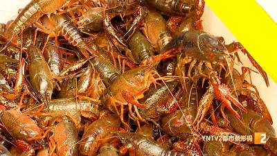 昆明信息港(微信)