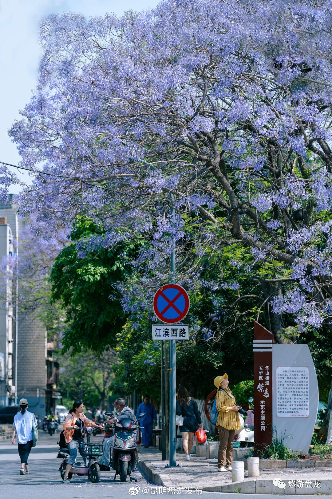 “昆明盘龙发布”微博