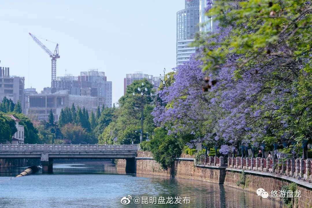 “昆明盘龙发布”微博