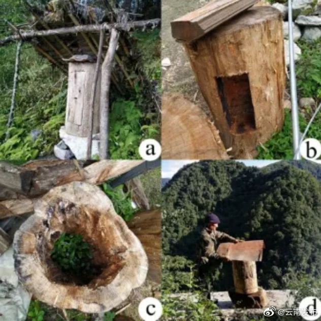 独龙族传统养蜂技术入选生态环境部“生物多样性保护重大工程”案例