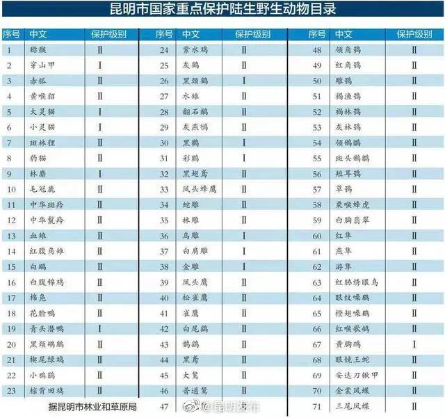 “昆明发布”微博
