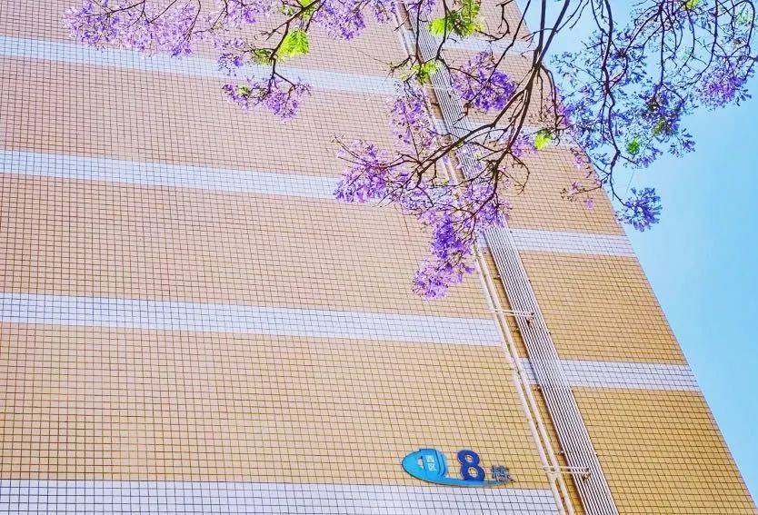 春城晚报(微信)