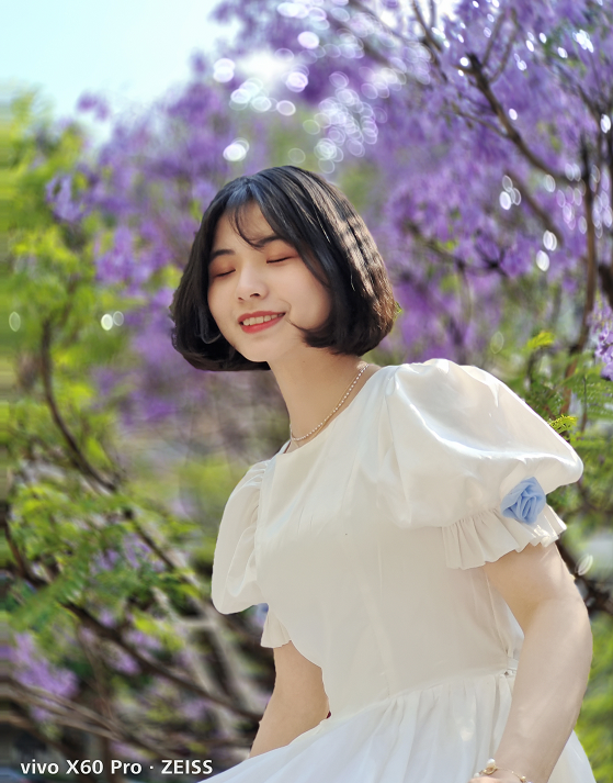 春城晚报(微信)
