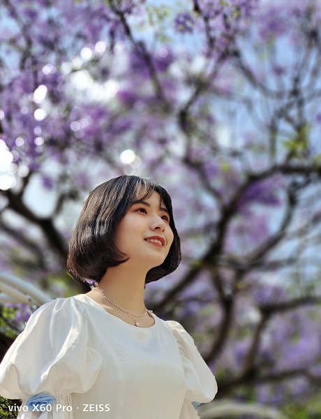 春城晚报(微信)