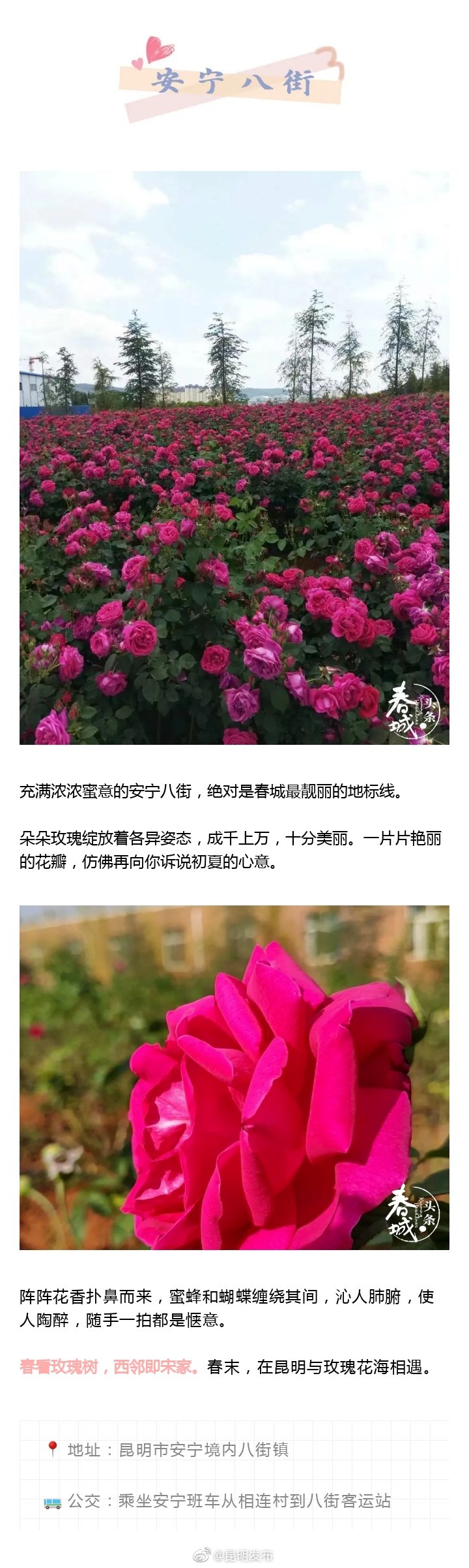 “昆明发布”微博