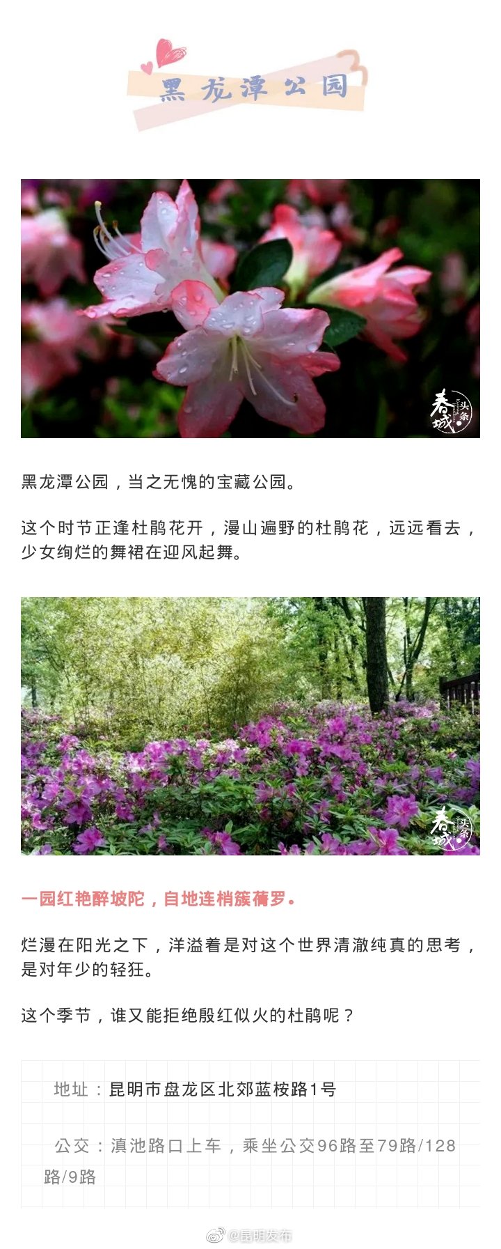“昆明发布”微博