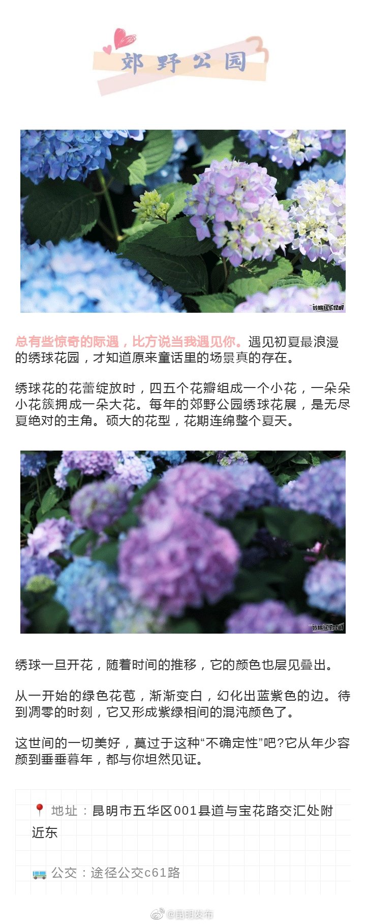 “昆明发布”微博
