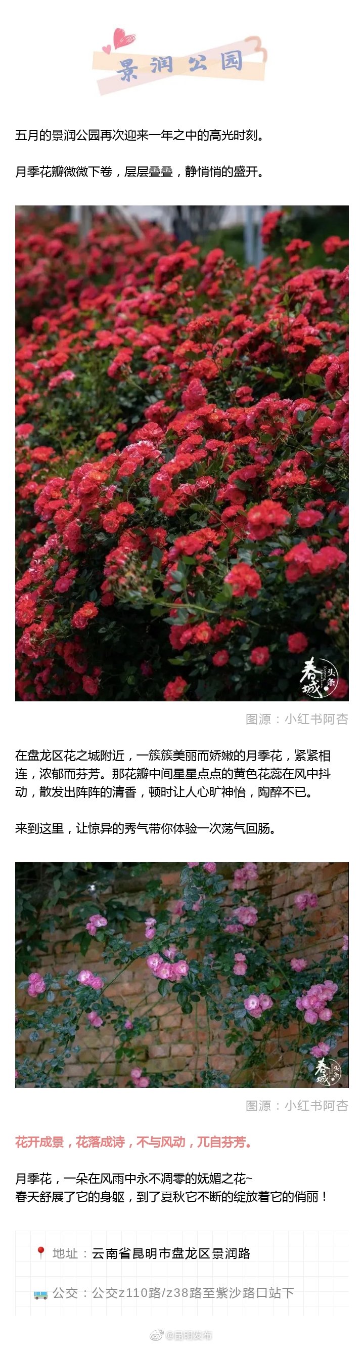 “昆明发布”微博