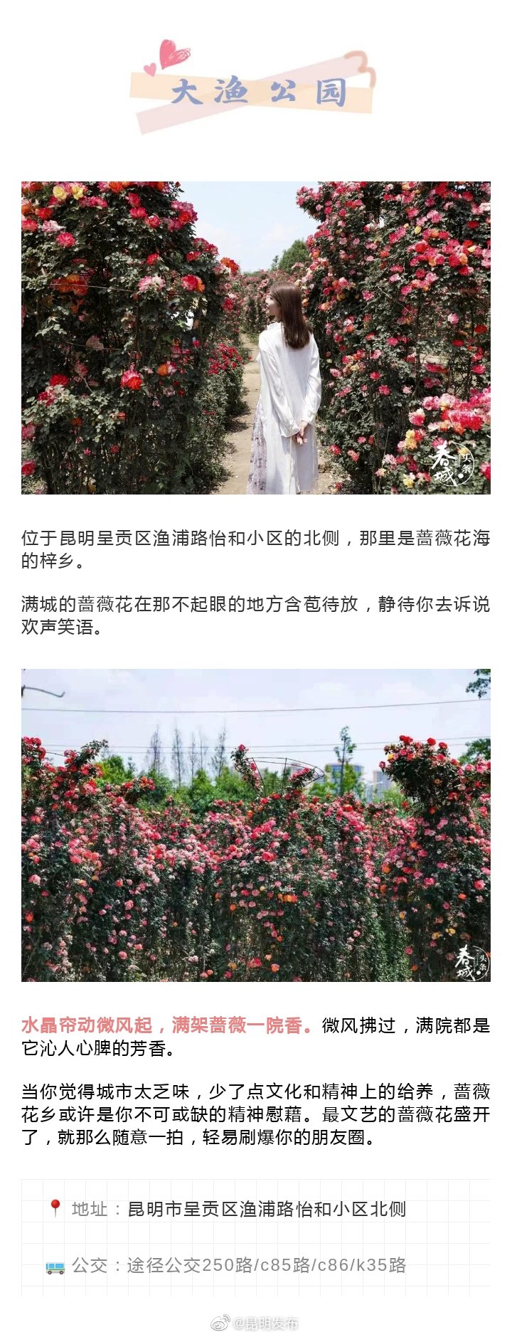 “昆明发布”微博