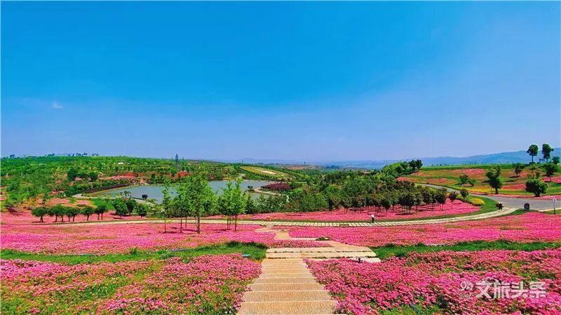 红河文旅(微信)