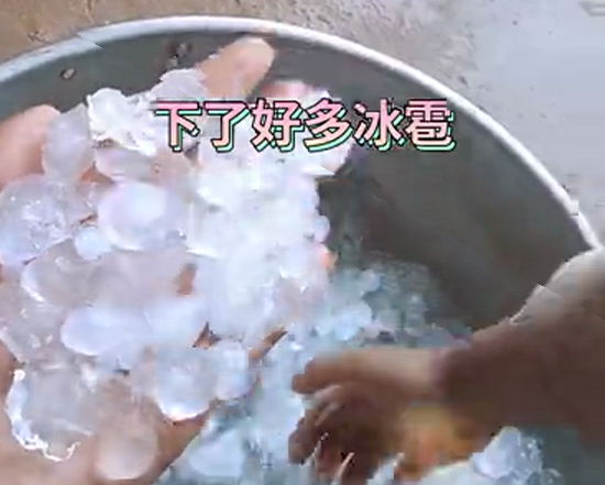 春城晚报(微信)
