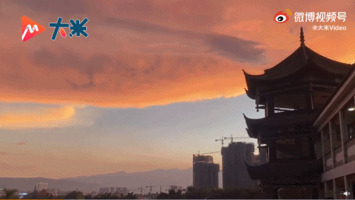 春城晚报(微信)