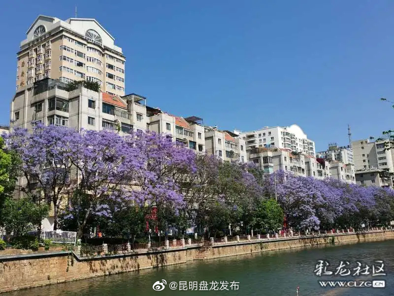 “昆明盘龙发布”微博