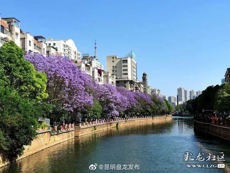 “昆明盘龙发布”微博