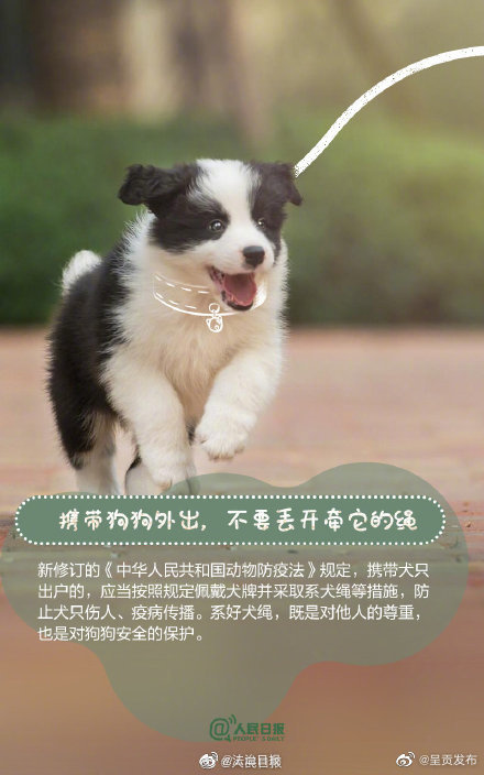“呈贡发布”微博