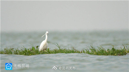 “昆明发布”微博