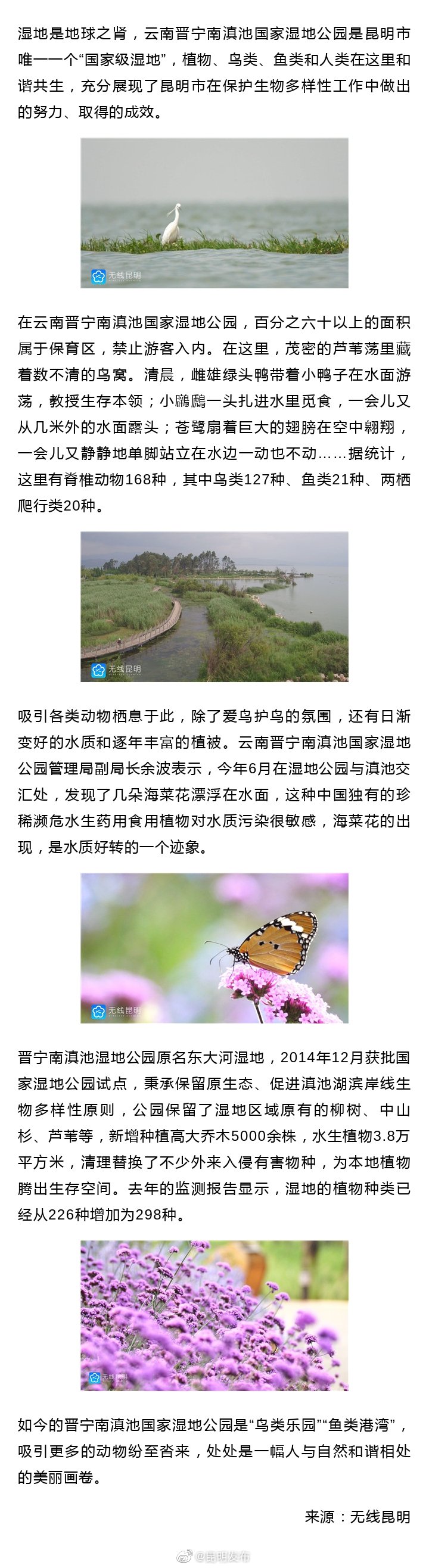 “昆明发布”微博