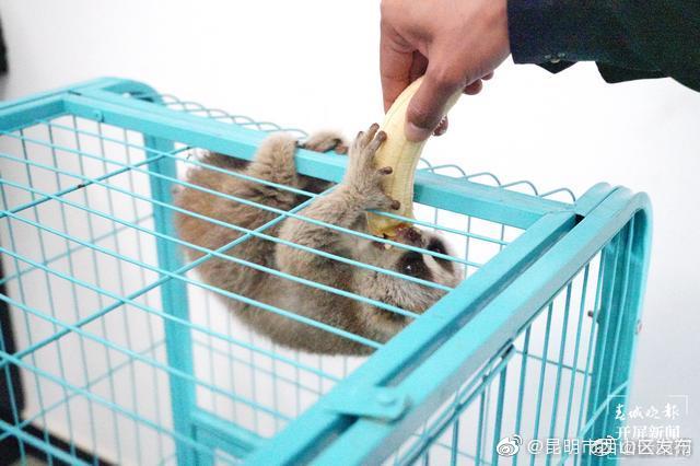 “昆明市西山区发布”微博