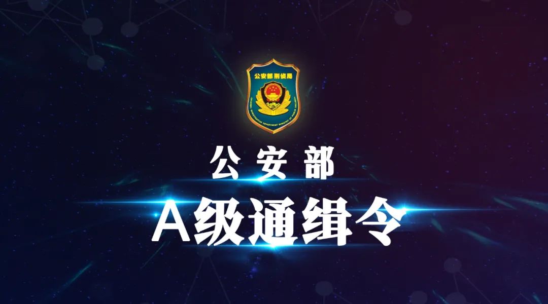 云南信息报(微信)